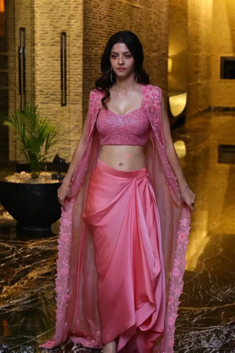 Vedhika Stills in Pink Lehenga Choli